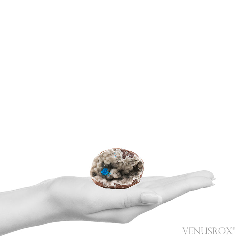 Pentagonite on Matrix Natural Cluster from the Pune District, Maharashtra, India | Venusrox