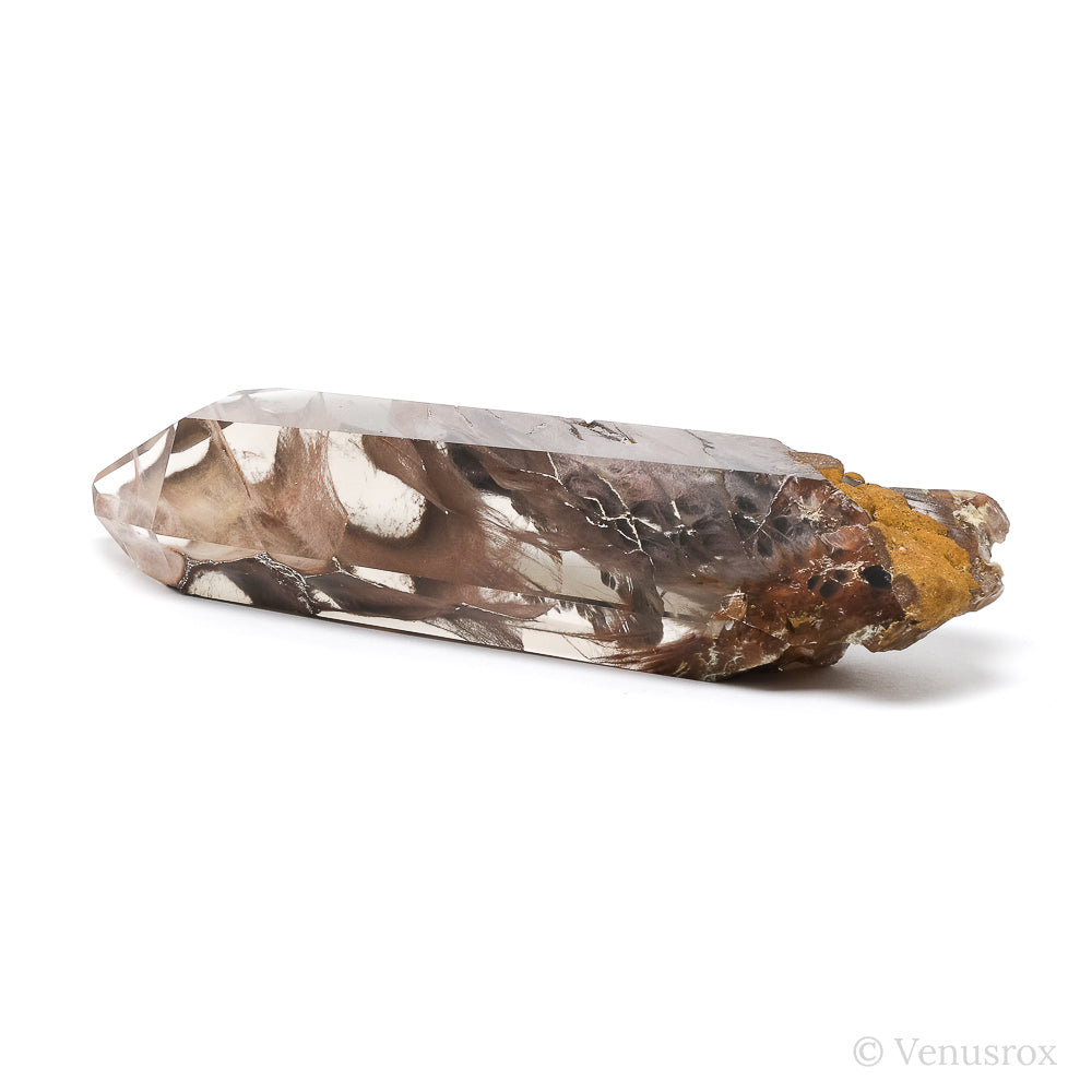 Amphibole Quartz Polished/Natural Double Terminated Point from Brazil | Venusrox