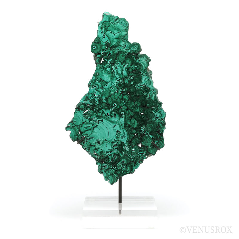 Malachite Slice from the Democratic Republic of the Congo | Venusrox
