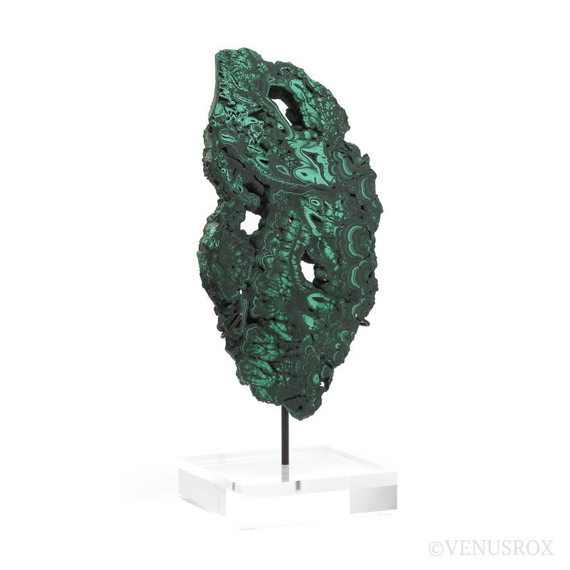 Malachite Slice from the Democratic Republic of the Congo | Venusrox