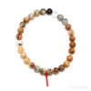 Crazy Lace Agate Bracelet from Mexico | Venusrox