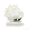 Apophyllite with Stilbite Natural Cluster from Maharashtra, India mounted on a bespoke stand | Venusrox