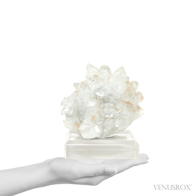 Apophyllite with Stilbite Natural Cluster from Maharashtra, India mounted on a bespoke stand | Venusrox