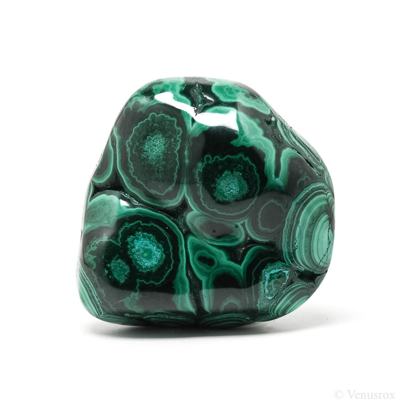 Malachite with Chrysocolla Polished Crystal from the Democratic Republic of Congo | Venusrox