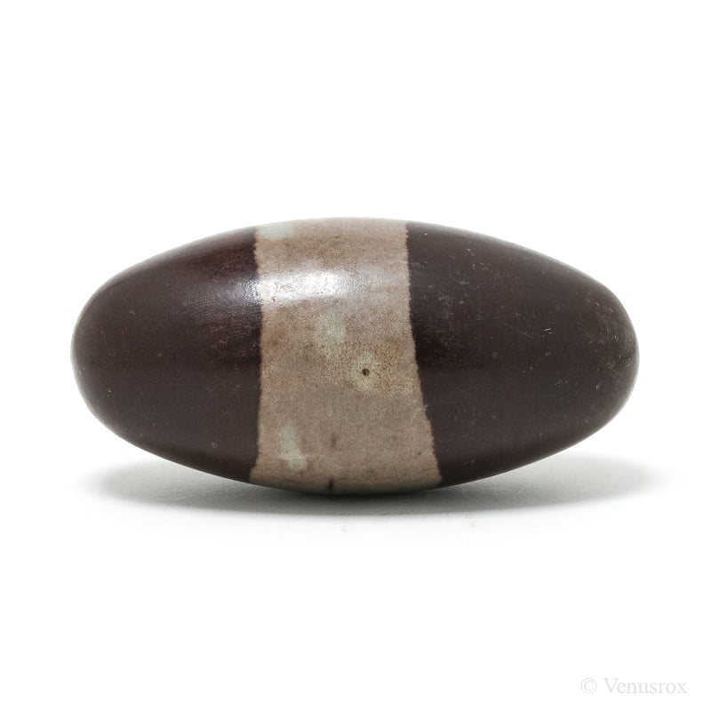Shiva Lingam from the Narmada River, Madhya Pradesh, India | Venusrox