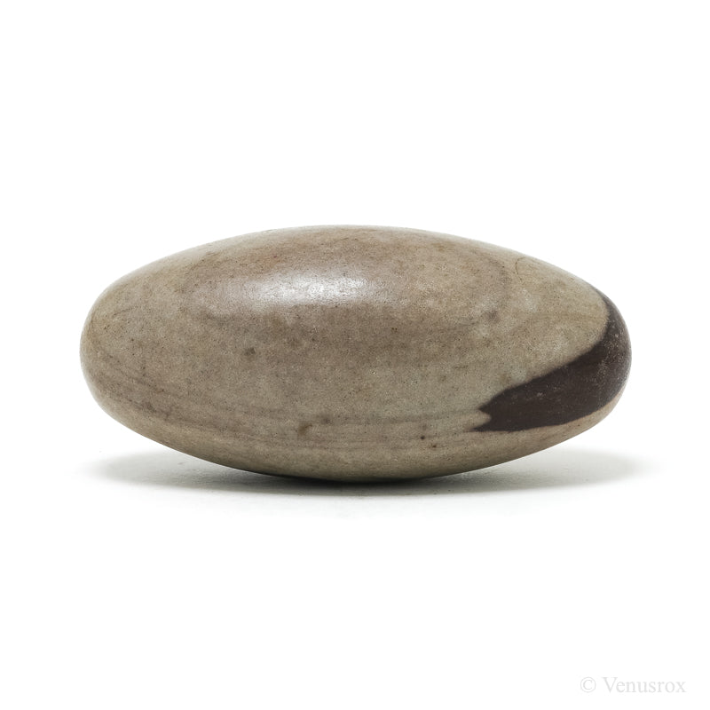 Shiva Lingam from the Narmada River, Madhya Pradesh, India | Venusrox