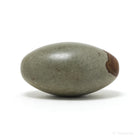 Shiva Lingam from the Narmada River, Madhya Pradesh, India | Venusrox