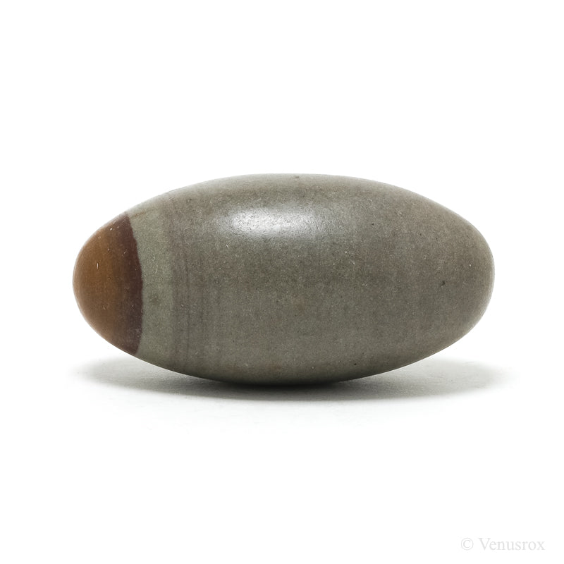 Shiva Lingam from the Narmada River, Madhya Pradesh, India | Venusrox