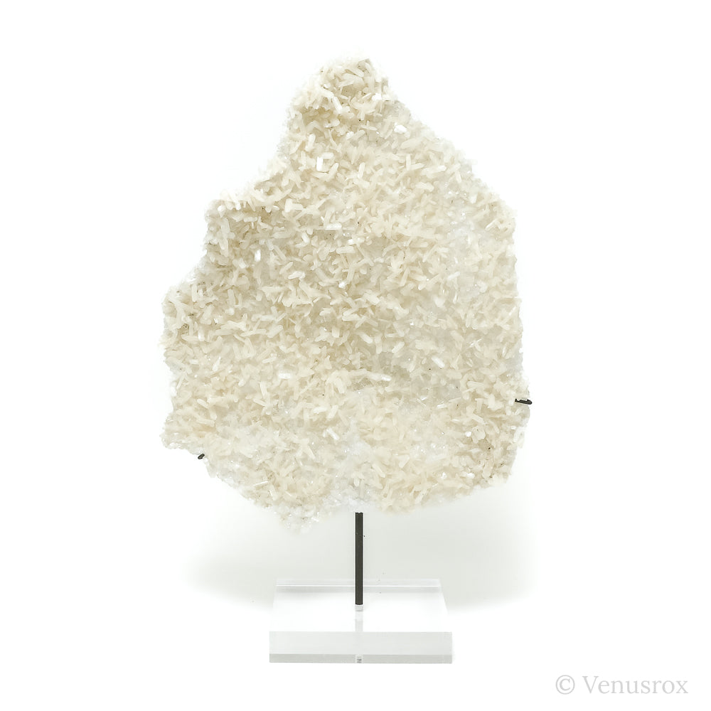 Stilbite on micro-Apophyllite Natural Cluster from Maharashtra, India mounted on a bespoke stand | Venusrox