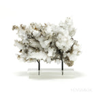 Aragonite & Calcite Natural Cluster from Santa Eulalia Mining District, Aquiles Serdán Municipality, Chihuahua, Mexico | Venusrox