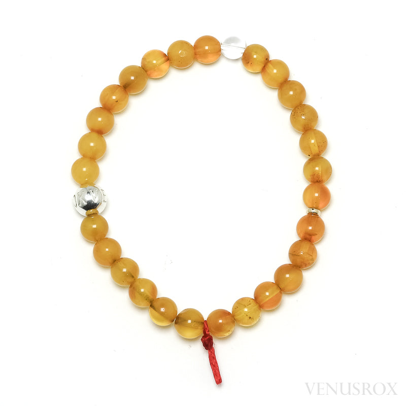 Baltic Amber Bracelet | Venusrox