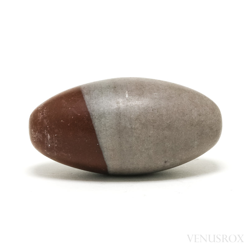 Shiva Lingam from the Narmada River, Madhya Pradesh, India | Venusrox