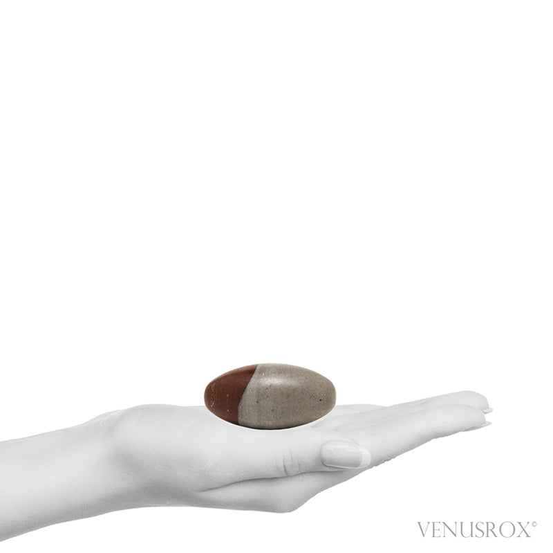 Shiva Lingam from the Narmada River, Madhya Pradesh, India | Venusrox