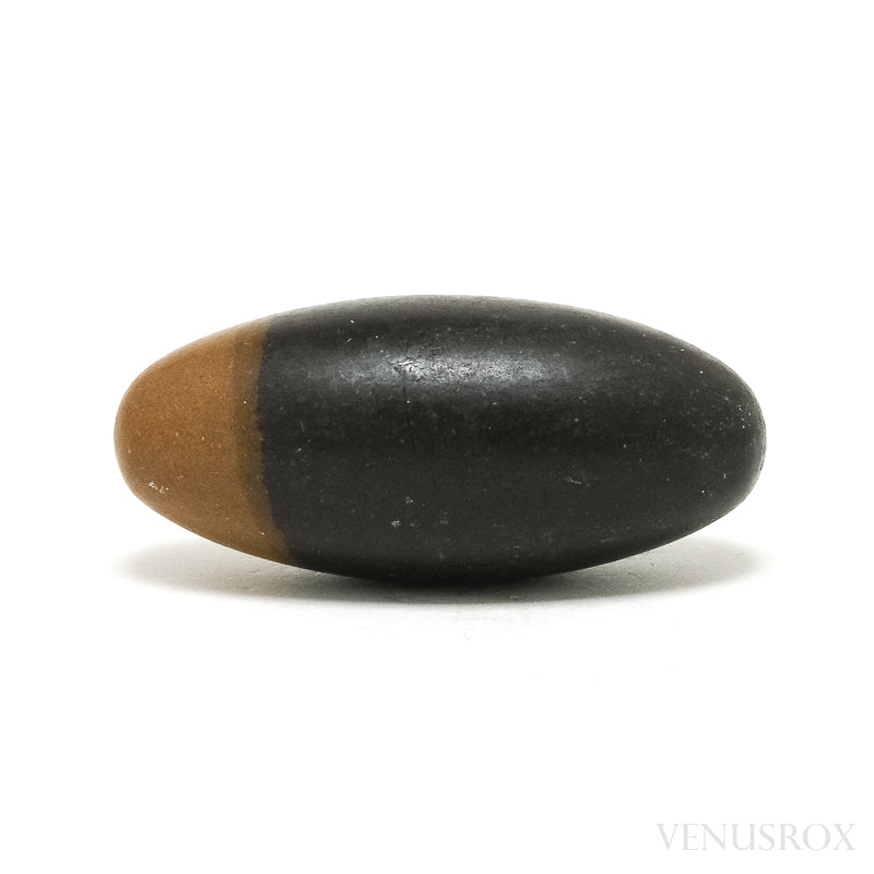 Shiva Lingam from the Narmada River, Madhya Pradesh, India | Venusrox