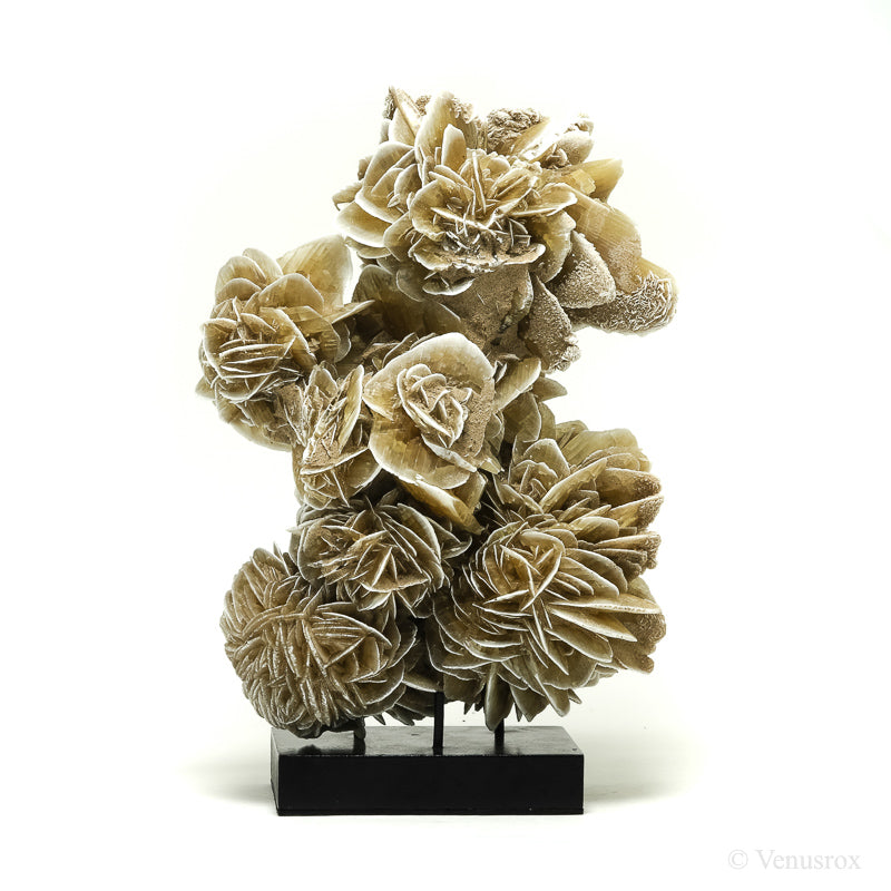 Desert Rose Natural Cluster | Venusrox