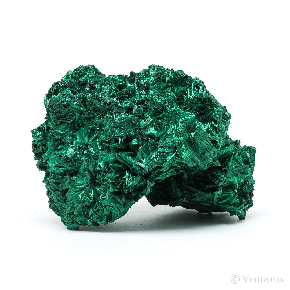 Fibrous Malachite Natural Crystal from the Luishia Mine, Katanga Province, Democratic Republic of Congo | Venusrox