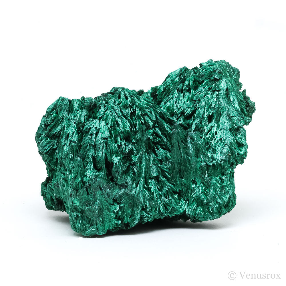 Fibrous Malachite Natural Crystal from the Luishia Mine, Katanga Province, Democratic Republic of Congo | Venusrox