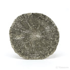 Pyrite Sun from Sparta, Randolph Co., Illinois, USA | Venusrox