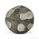 Pyrite Sun from Sparta, Randolph Co., Illinois, USA | Venusrox