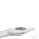 Pyrite Sun from Sparta, Randolph Co., Illinois, USA | Venusrox