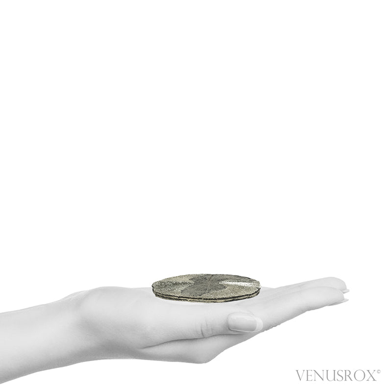 Pyrite Sun from Sparta, Randolph Co., Illinois, USA | Venusrox