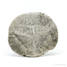 Pyrite Sun from Sparta, Randolph Co., Illinois, USA | Venusrox