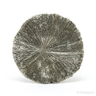 Pyrite Sun from Sparta, Randolph Co., Illinois, USA | Venusrox