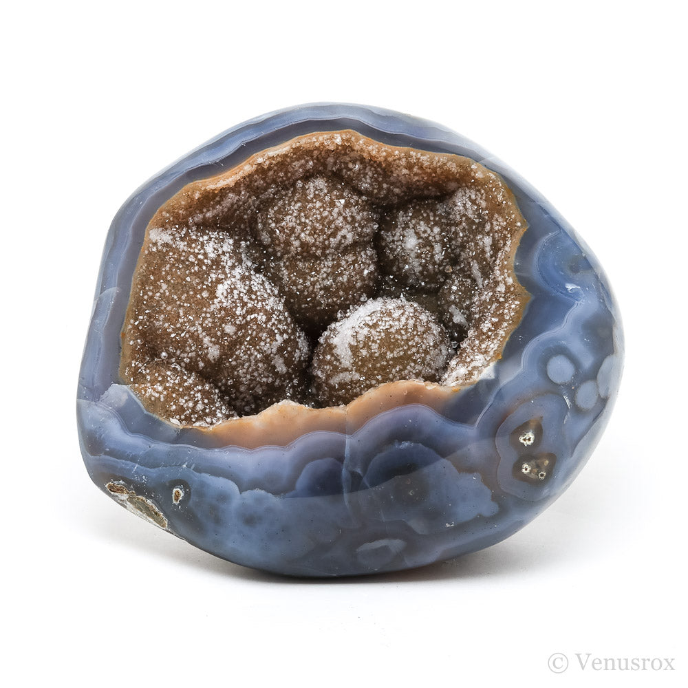 Golden Quartz Druze on Agate Part Polished/Part Natural Cluster from Uruguay | Venusrox