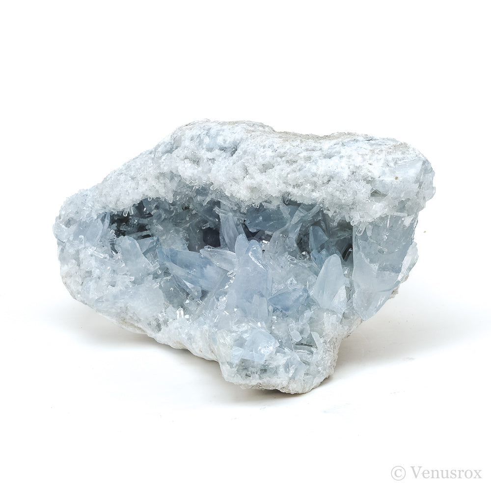 Blue Celestite on Matrix Natural Cluster from Madagascar | Venusrox