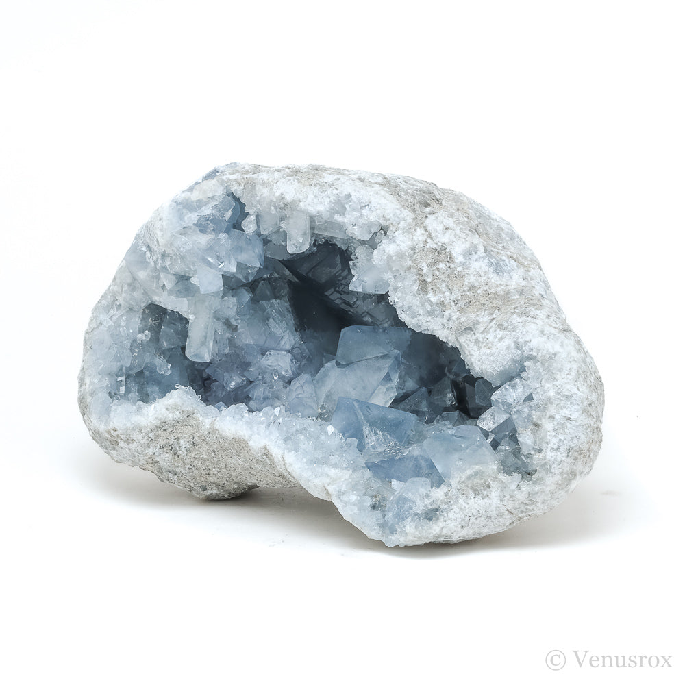 Blue Celestite on Matrix Natural Cluster from Madagascar | Venusrox