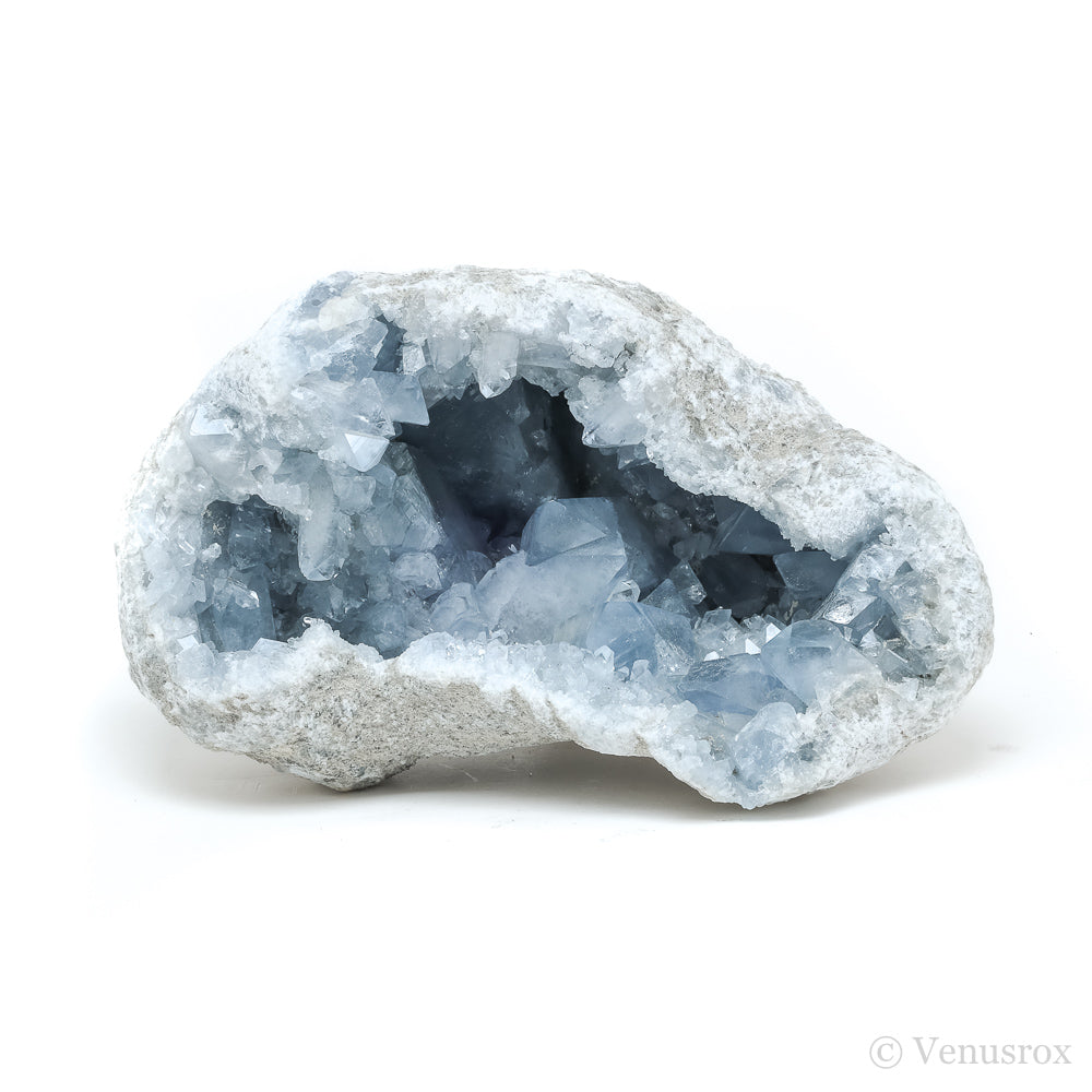 Blue Celestite on Matrix Natural Cluster from Madagascar | Venusrox