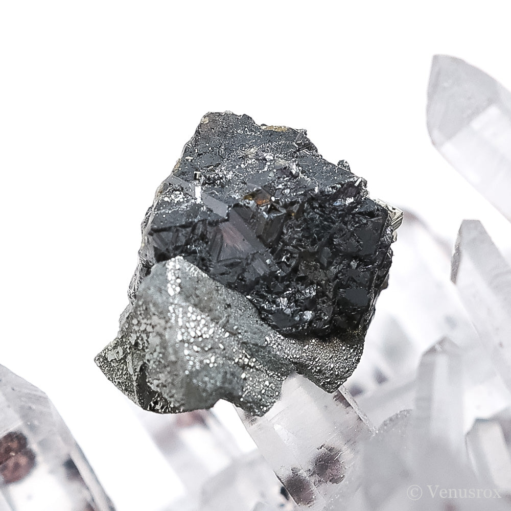 Clear Quartz with Sphalerite & Pyrite Natural Cluster from the Huanzala Mine, Huallanca District, Huanuco Department, Peru | Venusrox