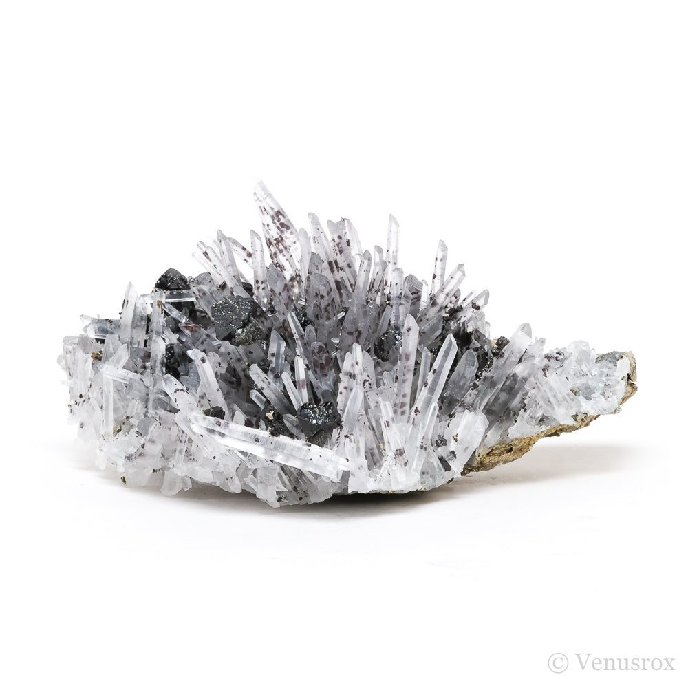 Clear Quartz with Sphalerite & Pyrite Natural Cluster from the Huanzala Mine, Huallanca District, Huanuco Department, Peru | Venusrox