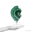Malachite Polished Slice from the Democratic Republic of the Congo, mounted on a bespoke stand | Venusrox