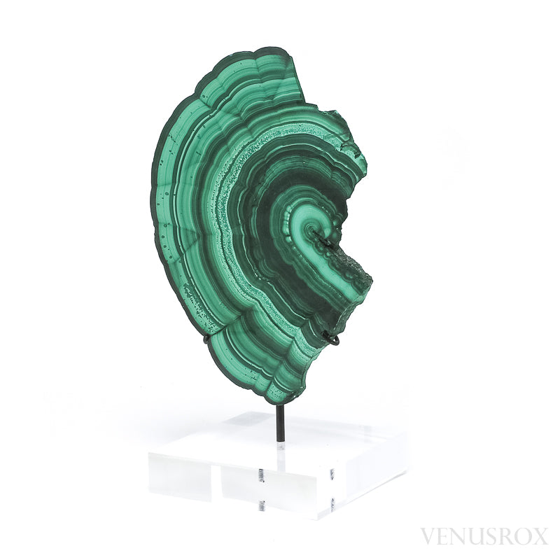 Malachite Polished Slice from the Democratic Republic of the Congo, mounted on a bespoke stand | Venusrox