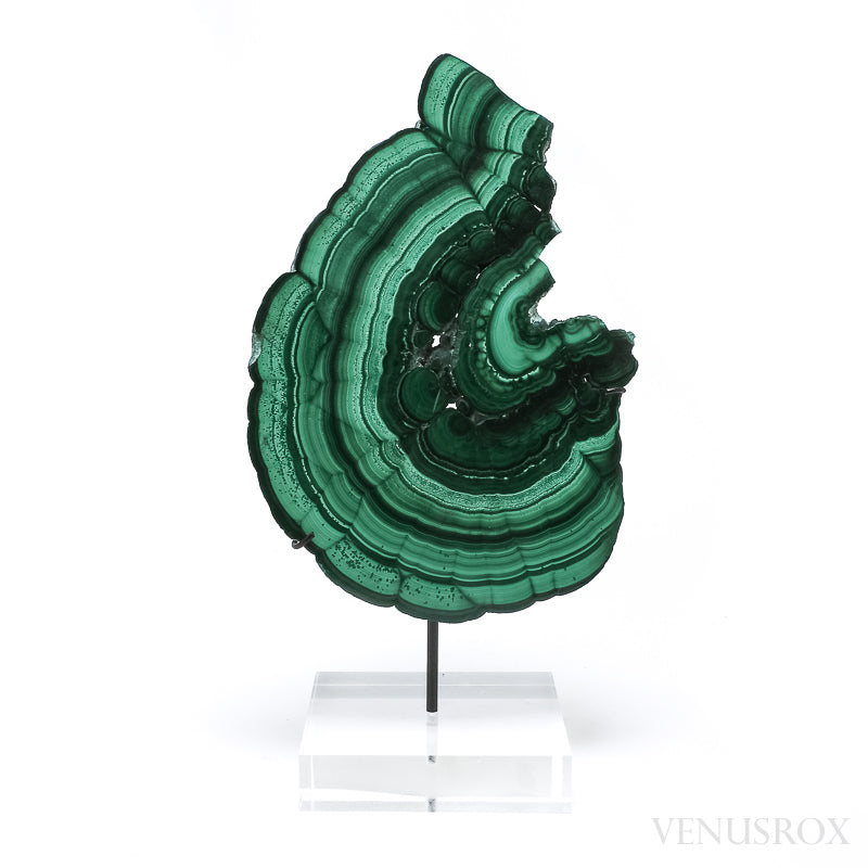 Malachite Polished Slice from the Democratic Republic of the Congo, mounted on a bespoke stand | Venusrox
