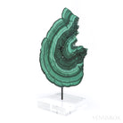 Malachite Polished Slice from the Democratic Republic of the Congo, mounted on a bespoke stand | Venusrox