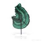 Malachite Polished Slice from the Democratic Republic of the Congo, mounted on a bespoke stand | Venusrox