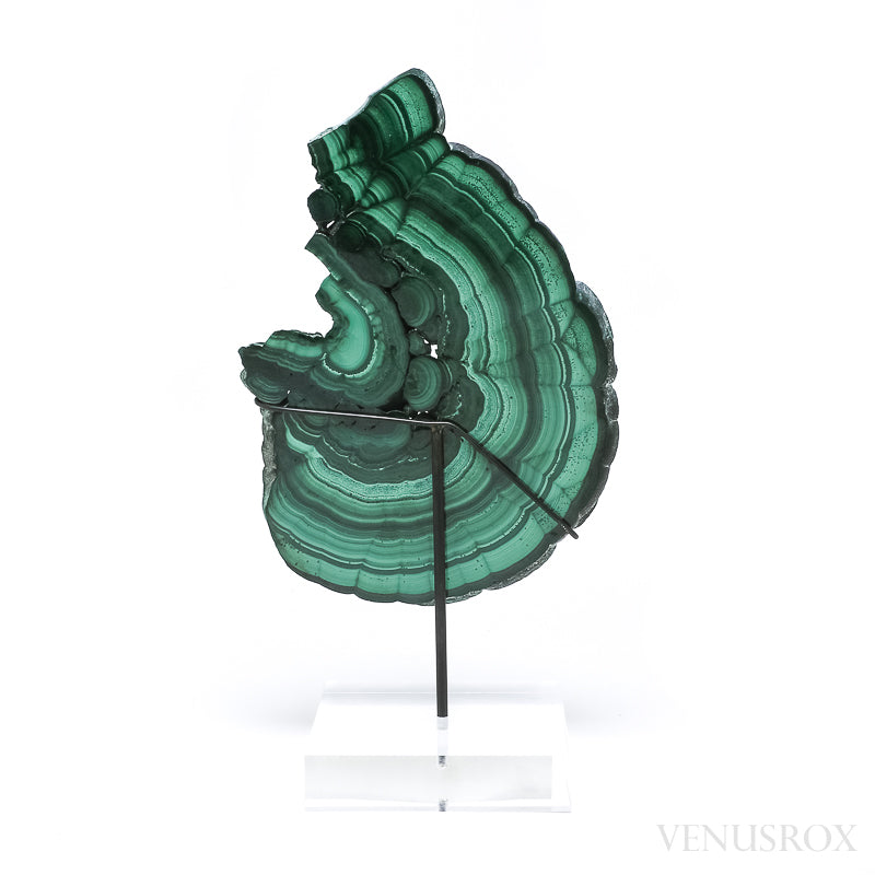 Malachite Polished Slice from the Democratic Republic of the Congo, mounted on a bespoke stand | Venusrox