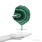 Malachite Polished Slice from the Democratic Republic of the Congo, mounted on a bespoke stand | Venusrox