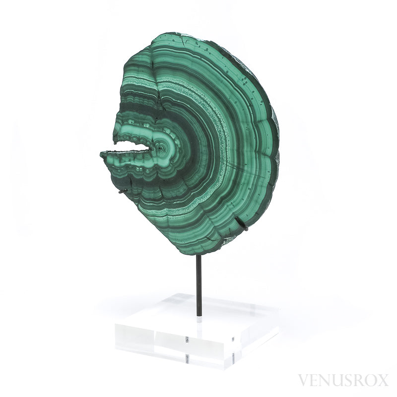 Malachite Polished Slice from the Democratic Republic of the Congo, mounted on a bespoke stand | Venusrox