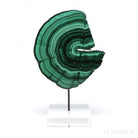 Malachite Polished Slice from the Democratic Republic of the Congo, mounted on a bespoke stand | Venusrox