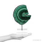 Malachite Polished Slice from the Democratic Republic of the Congo, mounted on a bespoke stand | Venusrox