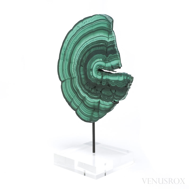 Malachite Polished Slice from the Democratic Republic of the Congo, mounted on a bespoke stand | Venusrox