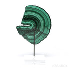 Malachite Polished Slice from the Democratic Republic of the Congo, mounted on a bespoke stand | Venusrox