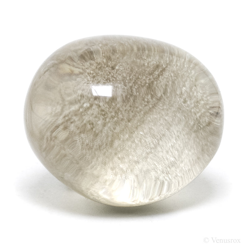 Smoky Quartz Part Polished/Part Natural Crystal from Brazil | Venusrox
