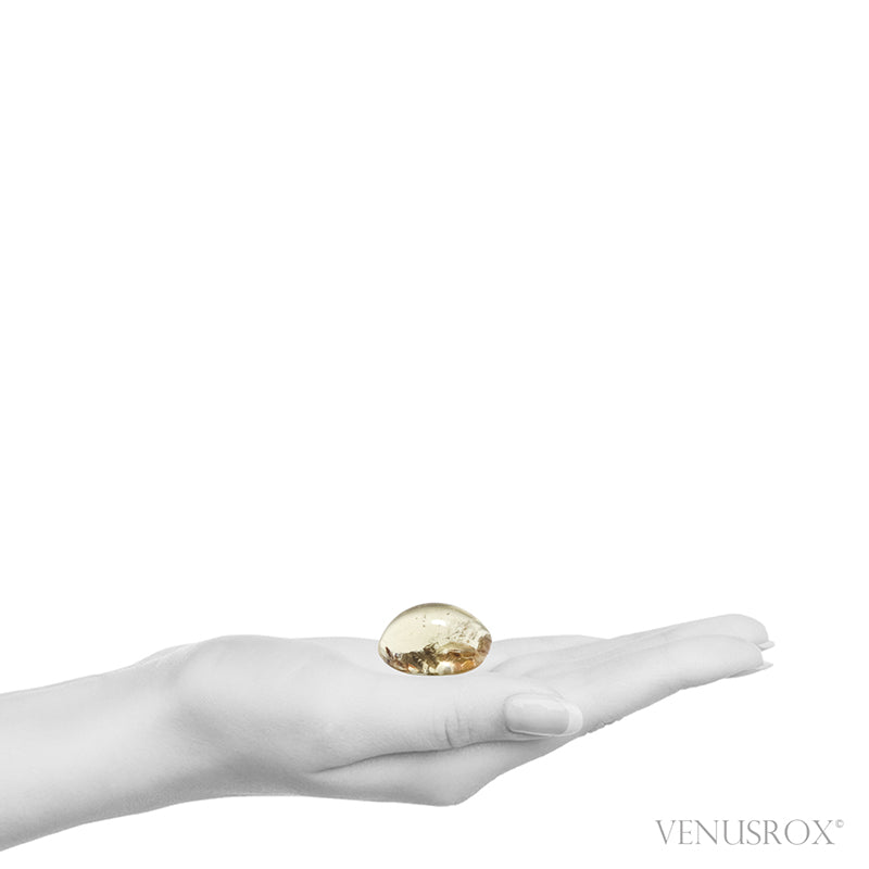 Natural Citrine Part Polished/Part Natural Crystal from Brazil | Venusrox