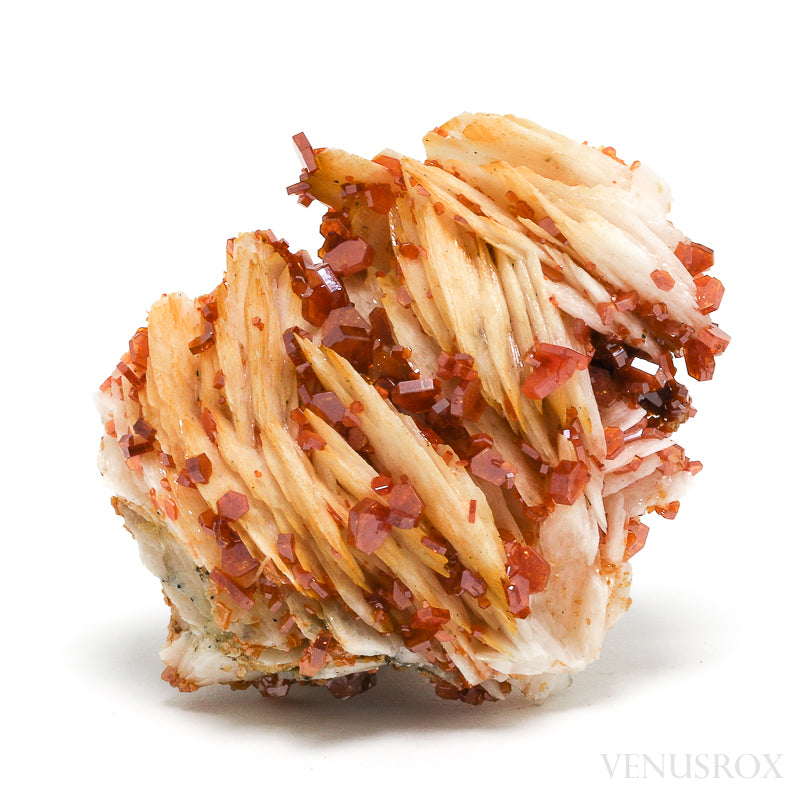 Vanadinite on Barite Natural Specimen from Mibladen, Midelt, Meknes-Tafilalet Region, Morocco | Venusrox