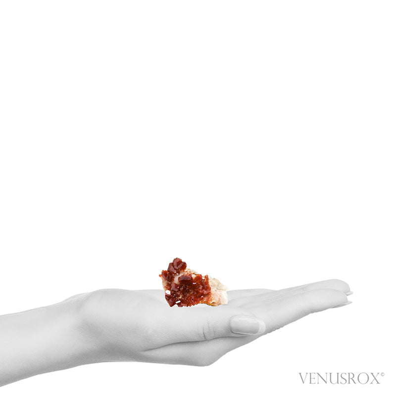 Vanadinite on Barite Natural Specimen from Mibladen, Midelt, Meknes-Tafilalet Region, Morocco | Venusrox