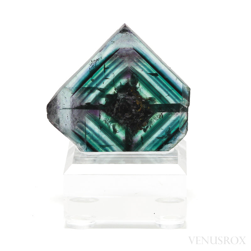 Fluorite Polished/Natural Slice from Namibia, mounted on a bespoke stand | Venusrox